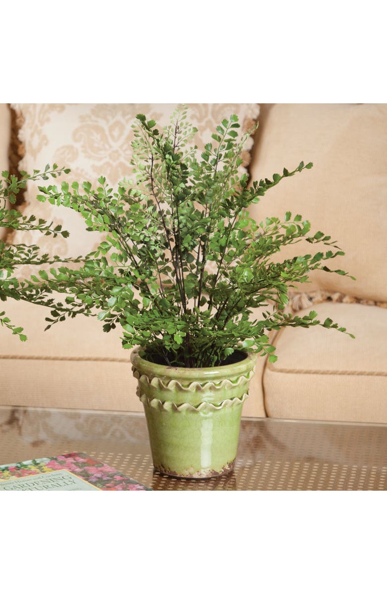 Napa Home & Garden Maiden Hair Drop-In 18", Alternate, color, Green