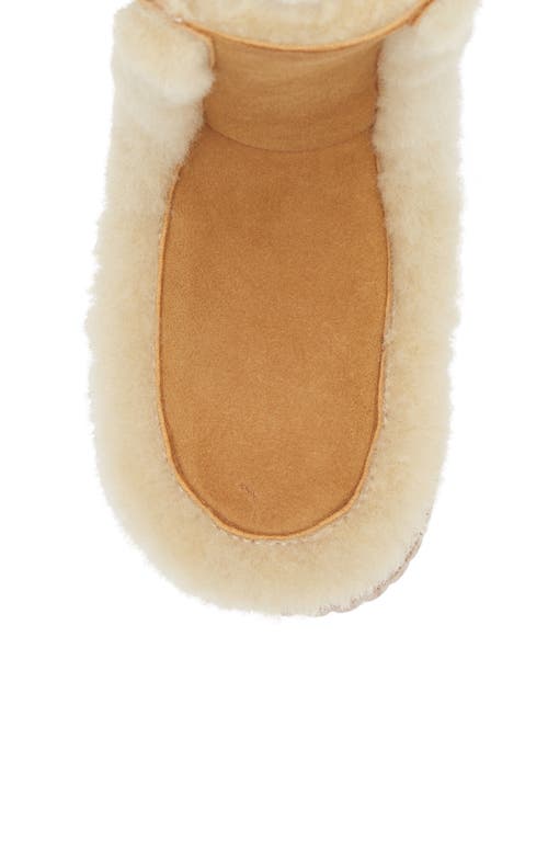 4ccccees Plia Fero Genuine Shearling Platform Bootie In Brown
