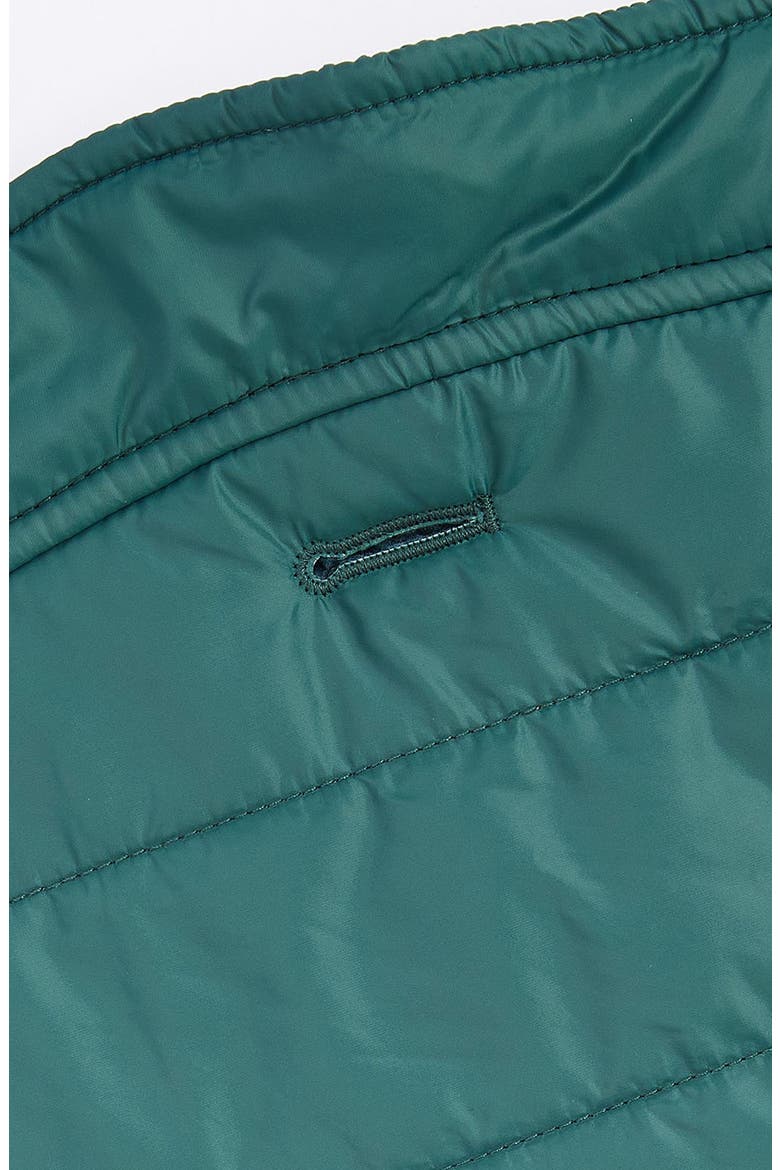 Baffle Quilted Dog Coat, Alternate, color, EVERGREEN