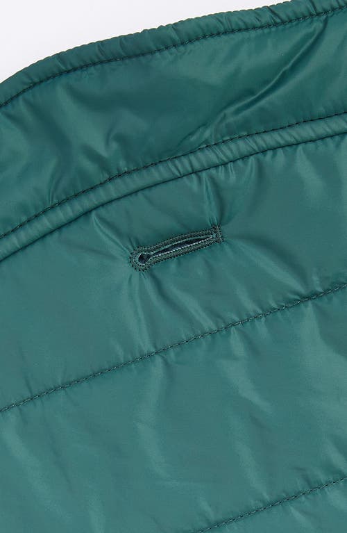 Barbour Baffle Quilted Dog Coat In Green