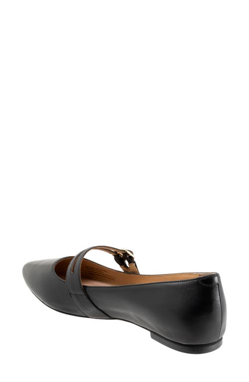 Trotters Emerald Pointed Toe Mary Jane Flat In Black