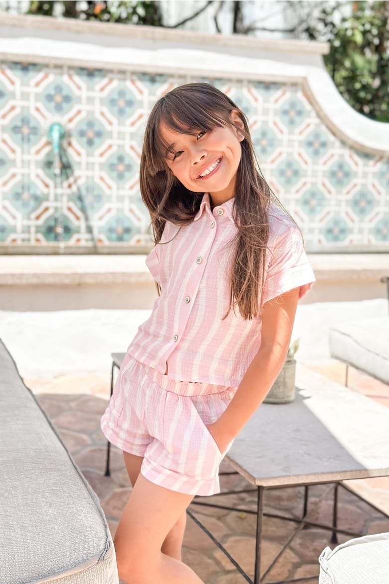 Dakota Cotton Boxy Buttondown, Alternate, color, Pink Stripe