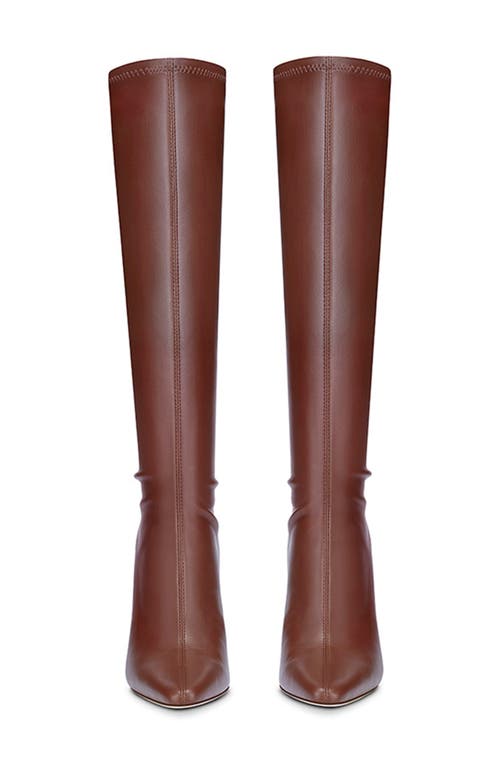 Femme La Whistler Pointed Toe Knee High Boot In Brown