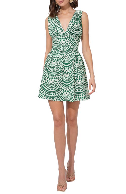 Adelyn Rae Maris Embroidered Sleeveless Cotton Fit & Flare Dress in Green/Cream 