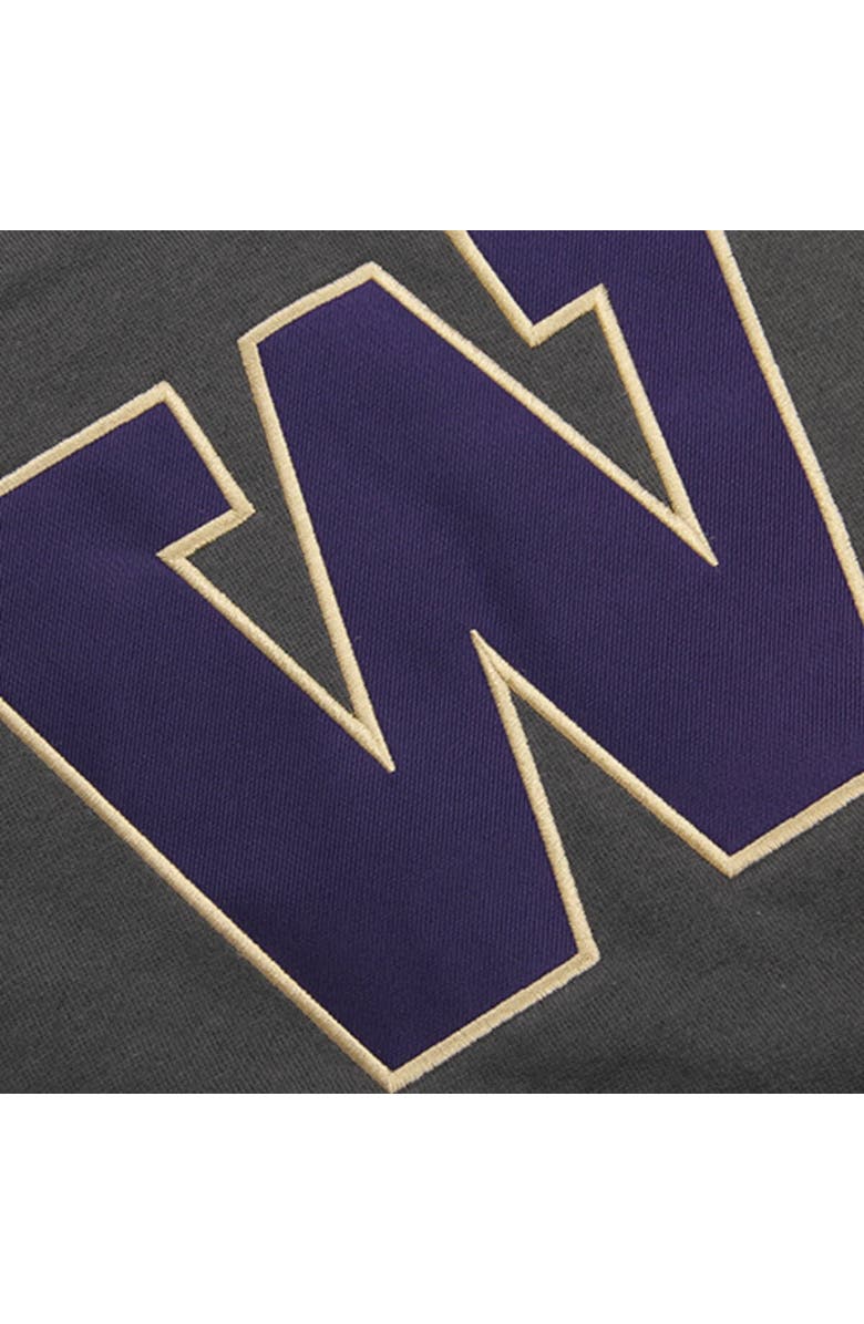 STADIUM ATHLETIC Youth Stadium Athletic Charcoal Washington Huskies Big Logo Pullover Hoodie, Alternate, color, Charcoal