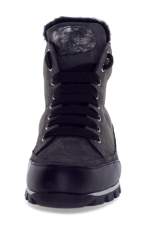 Candice Cooper Runlo Waterproof Genuine Shearling Lined High Top Sneaker In Multi