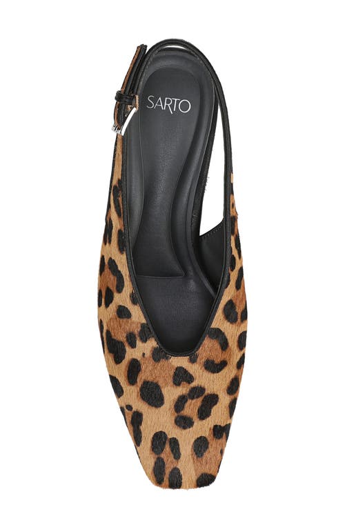 Sarto By Franco Sarto Sutton Slingback Pump In Animal Print