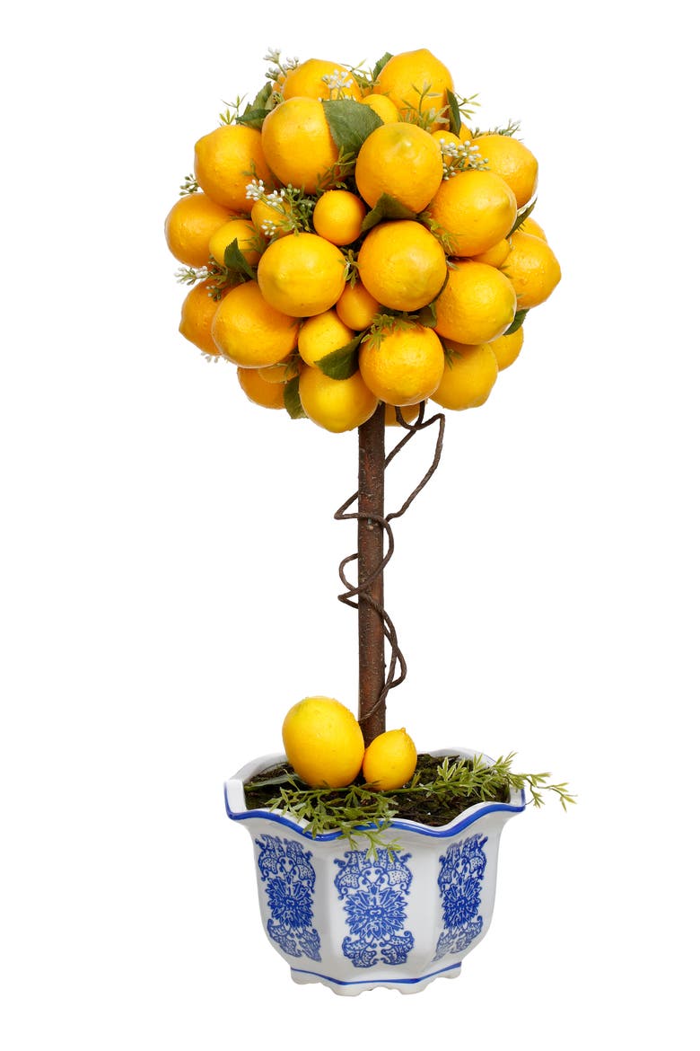 Potted Lemon Topiary, Main, color, Yellow