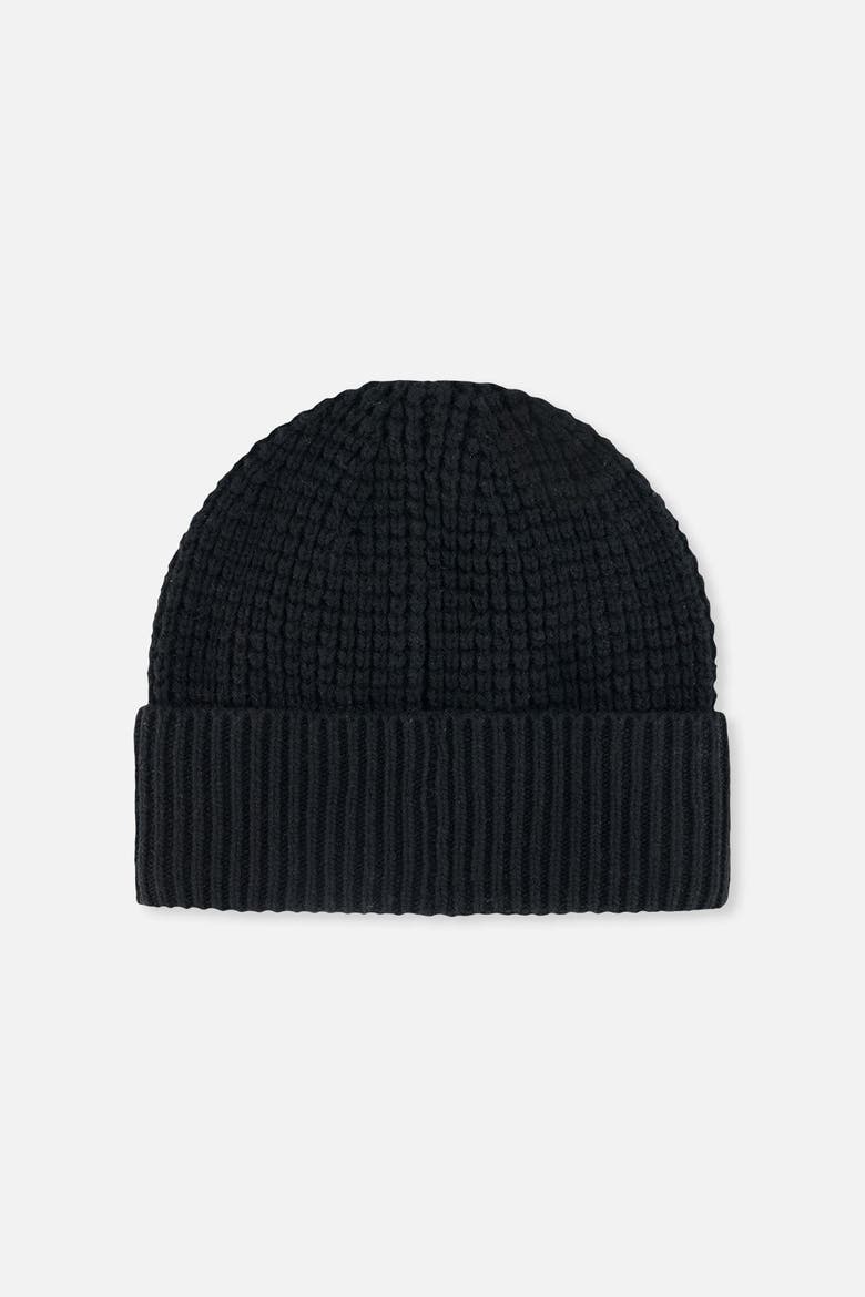 Winter Rolled Cuff Ribbed Fleece Lined Knit Hat, Alternate, color, Noir
