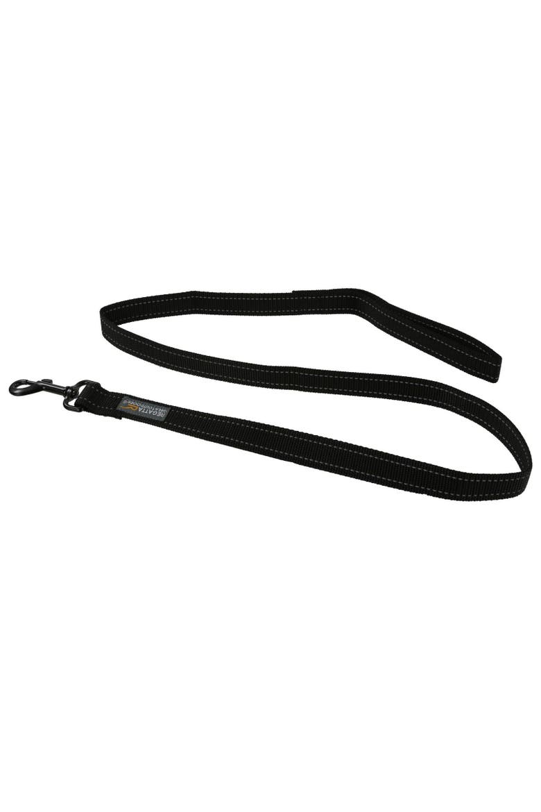 Dog Lead, Main, color, Black