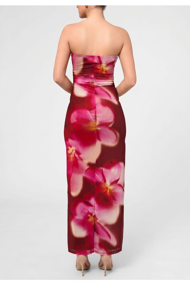 Isola Strapless Mesh Maxi Dress, Alternate, color, Dark Red