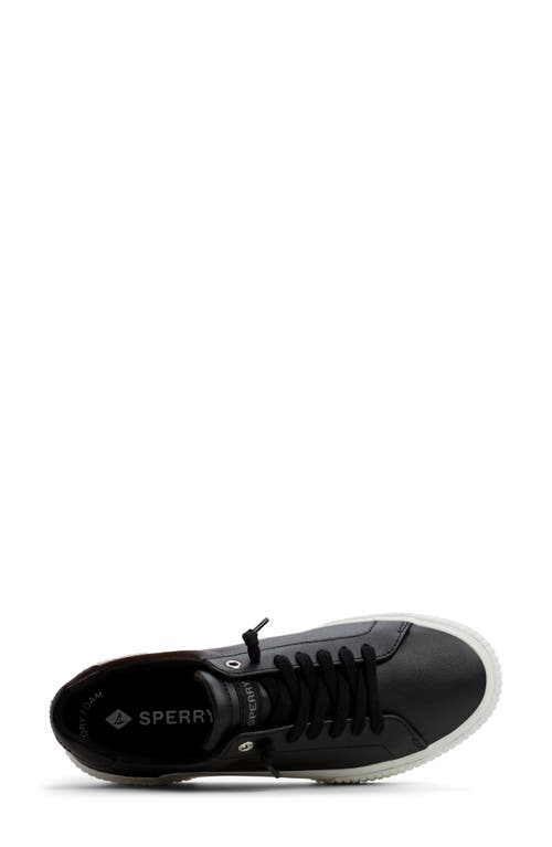 Sperry Top-sider® Sperry Bermuda Platform Sneaker In Black Leather Smooth
