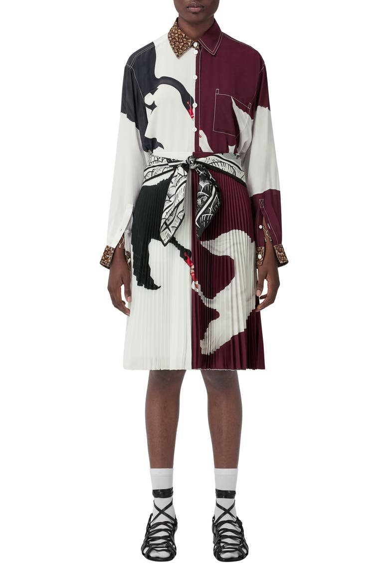 Rersby Swan Print Colorblock Pleated Skirt, Alternate, color, DEEP MAROON IP PAT