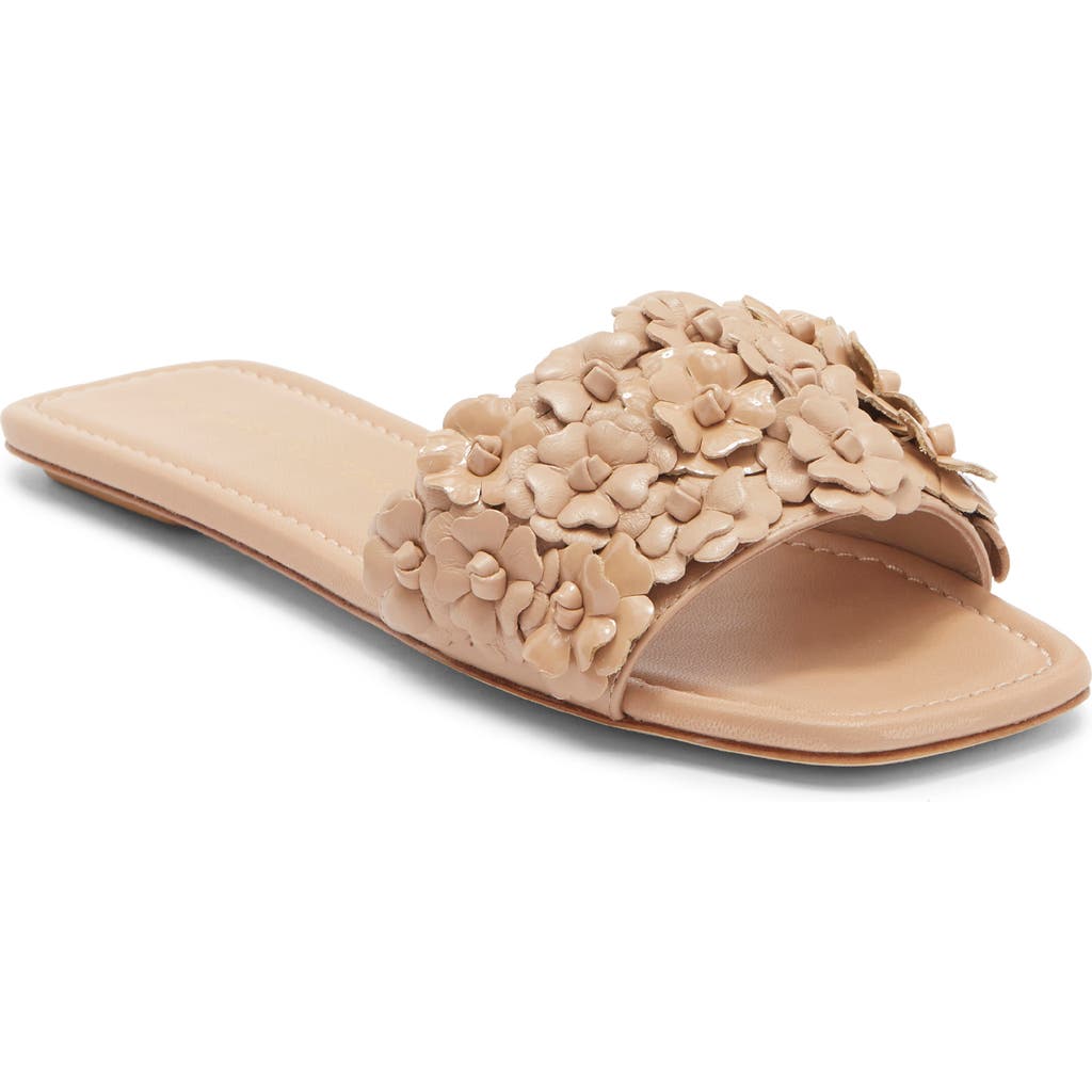 Stuart Weitzman Meadow Slide Sandal In Brown