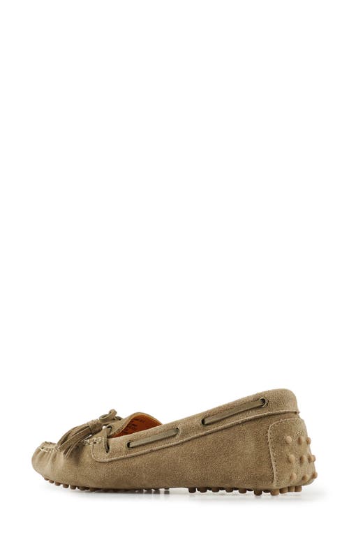 National Comfort Shyanne Suede Loafer In Taupe Suede
