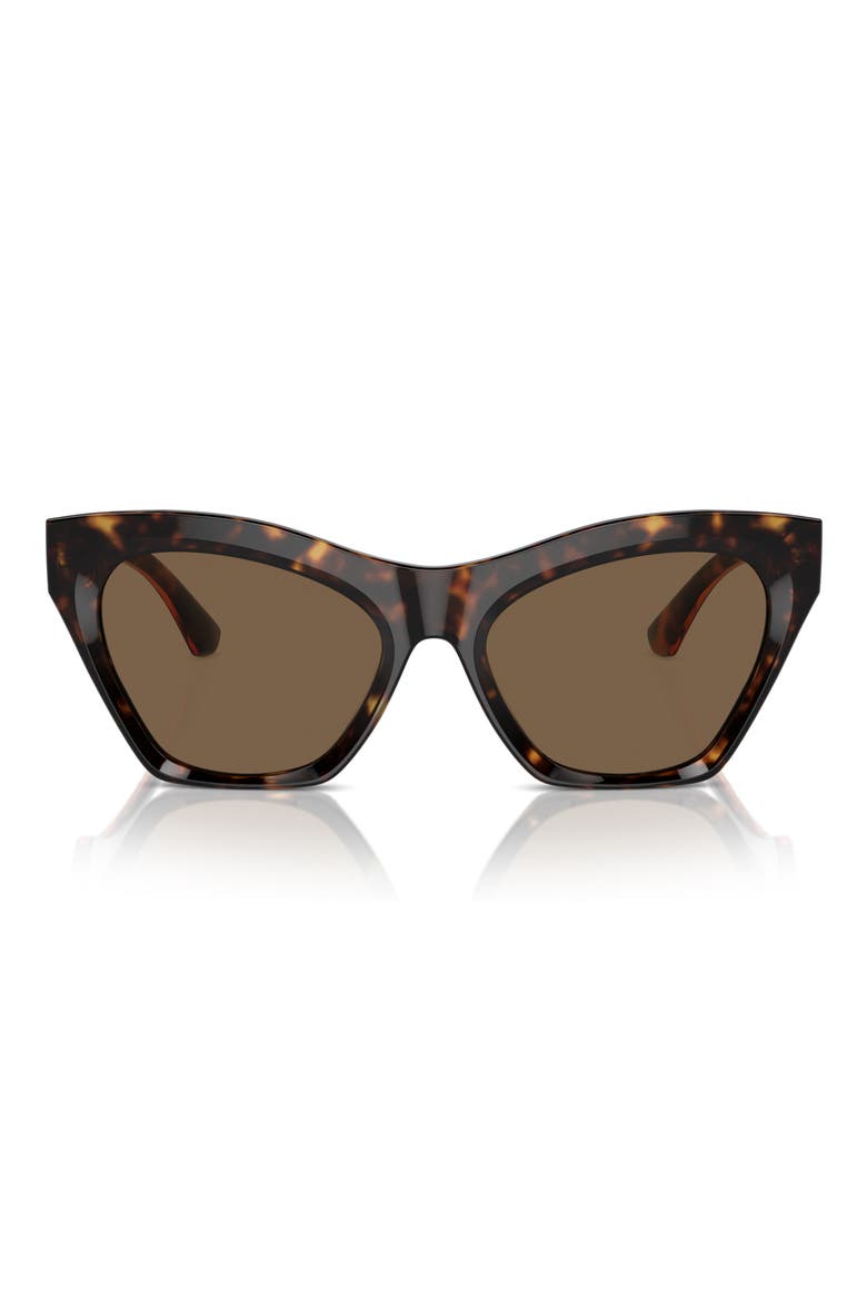 55mm Cat Eye Sunglasses, Main, color, DARK HAVANA