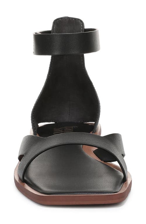 Franco Sarto Elisa Ankle Strap Sandal In Black