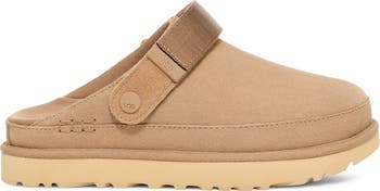 Goldenstar Clog