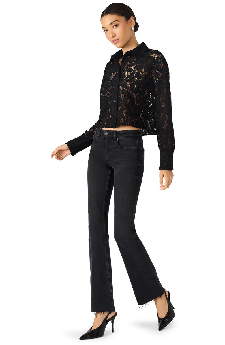 Steve Madden Jaiya Floral Guipure Lace Crop Button-Up Shirt, Alternate, color, Black
