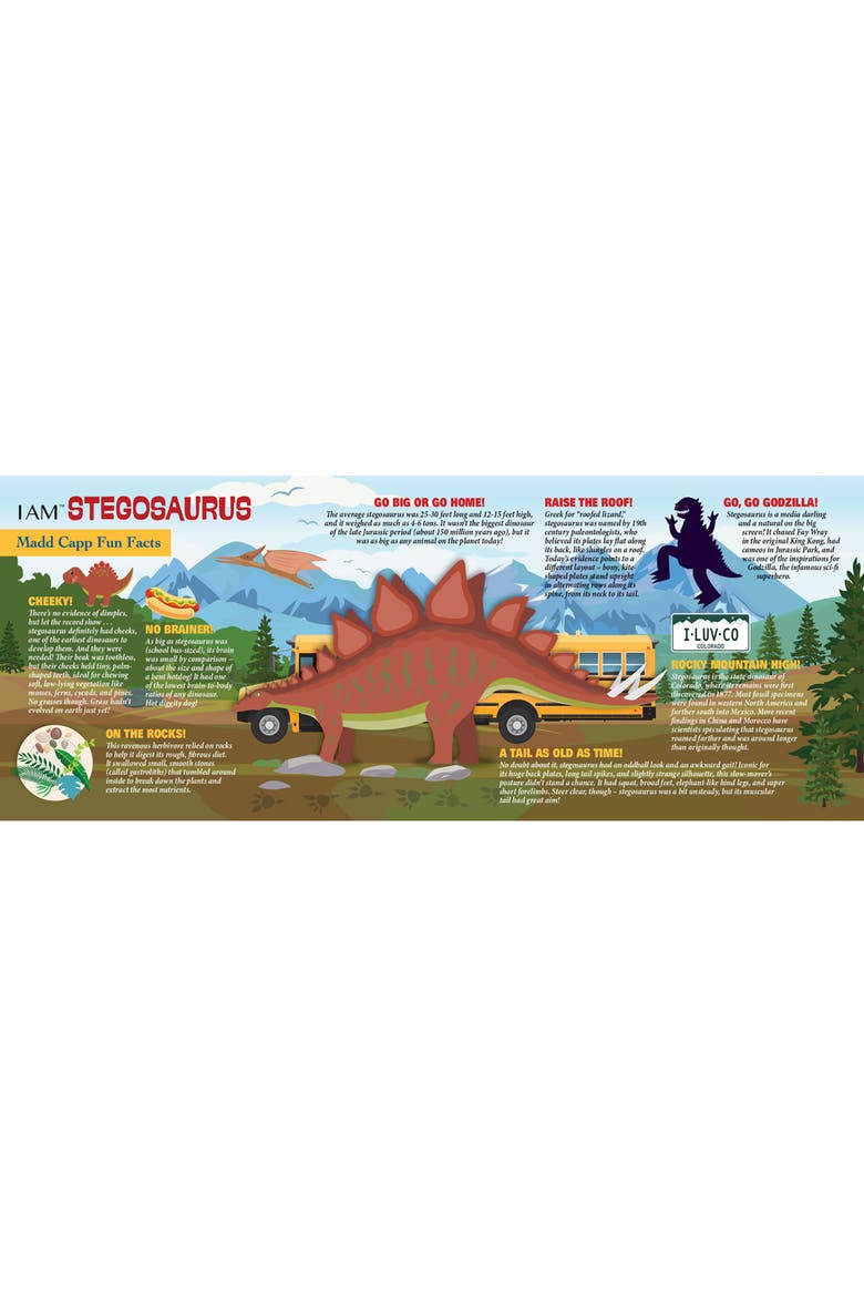 Stegosaurus 100 Piece Jigsaw Puzzle, Alternate, color, Multicolored