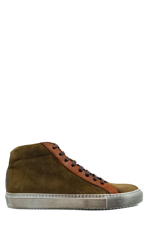 Belvedere Ruben High Top Sneaker In Ant. Cognac