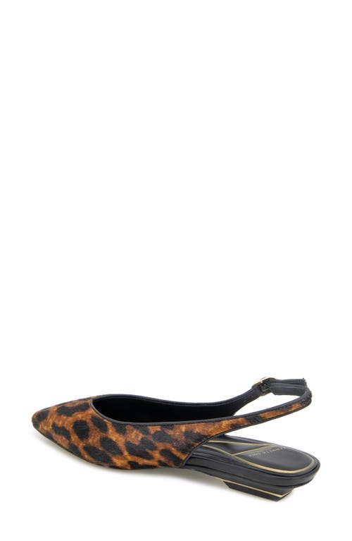 Kenneth Cole Berkette Slingback Flat In Animal Print