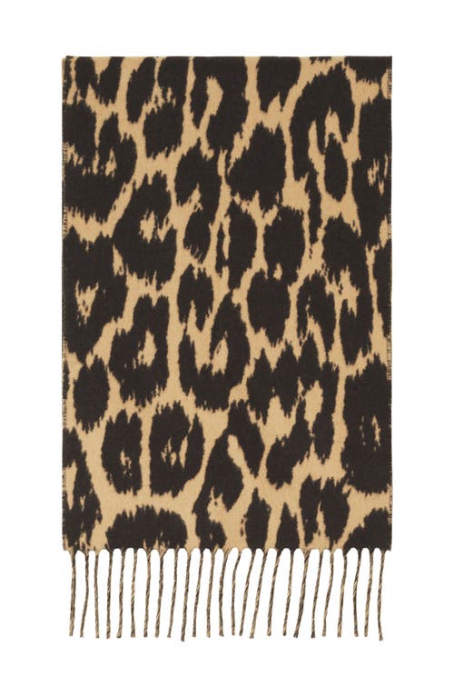 Lanvin Leopard Print Wool Scarf In Brown