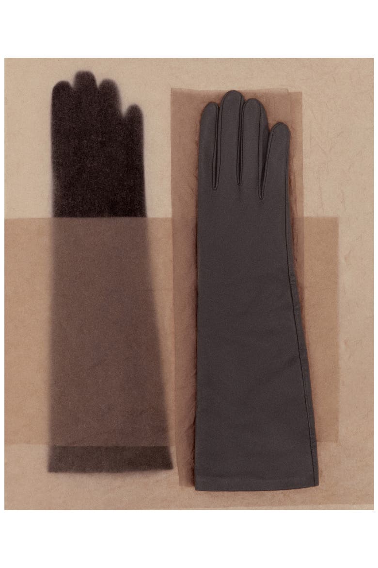 Long Leather Gloves, Alternate, color, CHOCOLATE