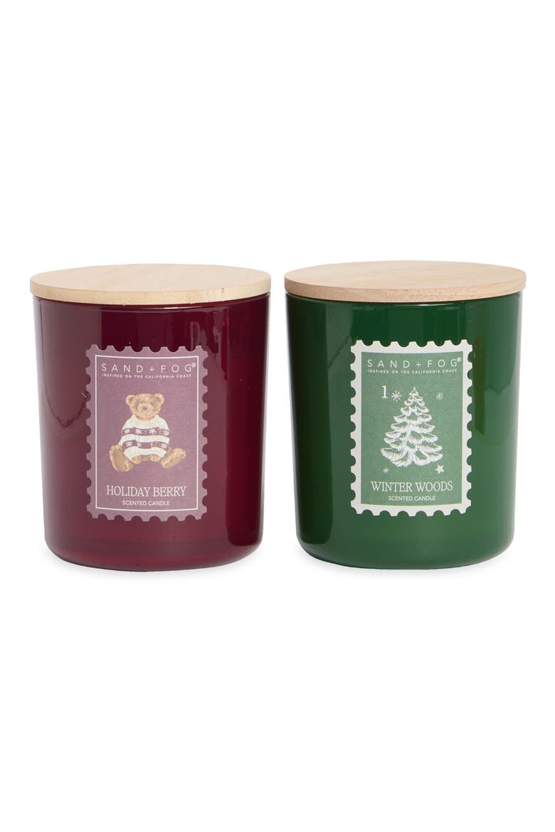 Holiday Berry & Winter Woods 10 oz. Candle Set, Main, color, MULTI