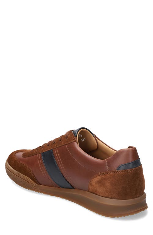 Mephisto Elyo Sneaker In Brown