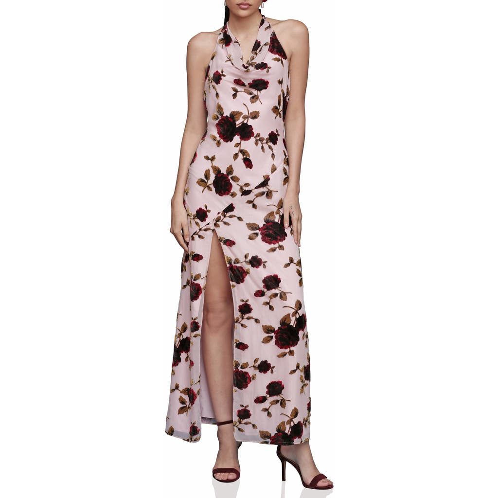 Avec Les Filles Floral Devoré Halter Maxi Cocktail Dress In Pink