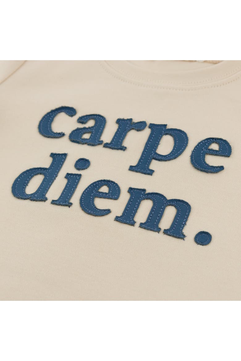 Carpe Diem Raw Edge T-Shirt, Alternate, color, Natural
