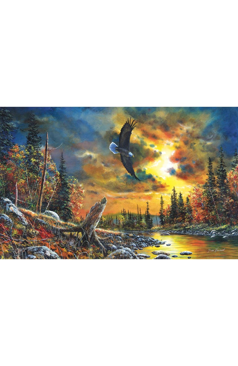 Sunsout Sky Watcher 1000 piece Jigsaw Puzzle for Adults, Main, color, Multicolor