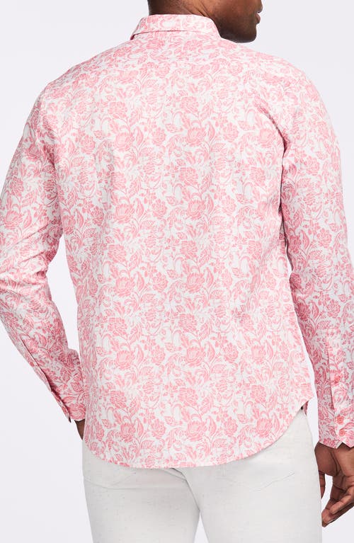 Robert Graham Caledon Cotton Button-up Shirt