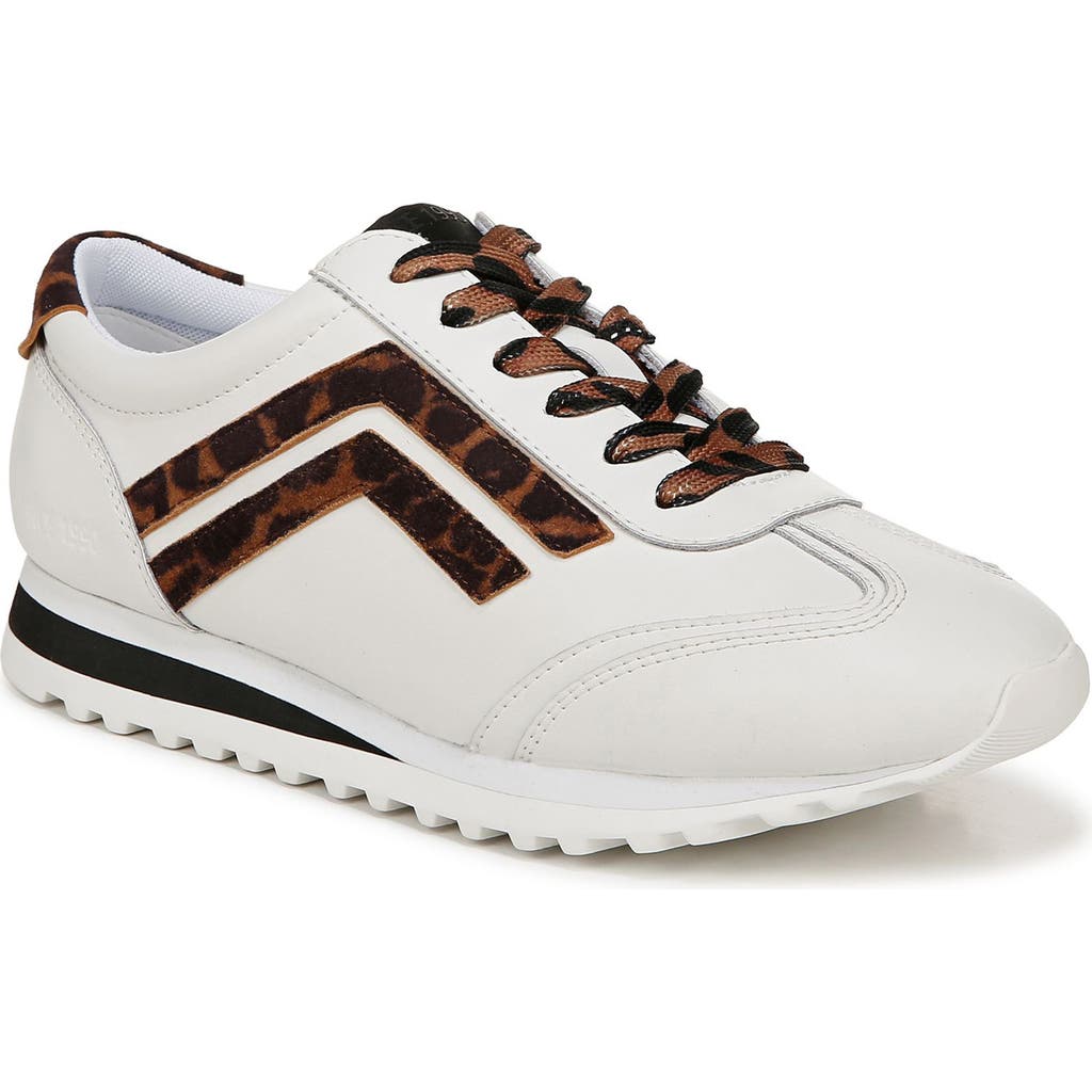 Franco Sarto Matera Oxford Sneakers In Brown Multi