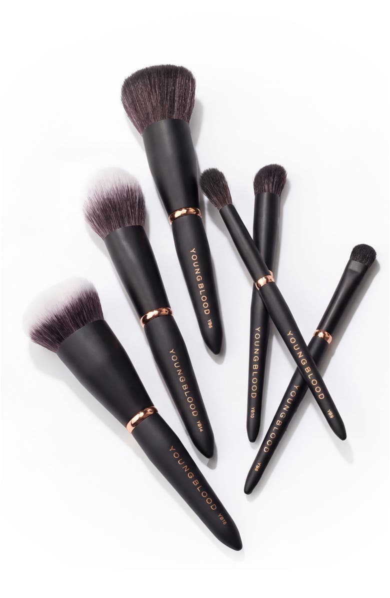 Youngblood Mineral Cosmetics Travel Luxe Brush Set, Alternate, color, Black