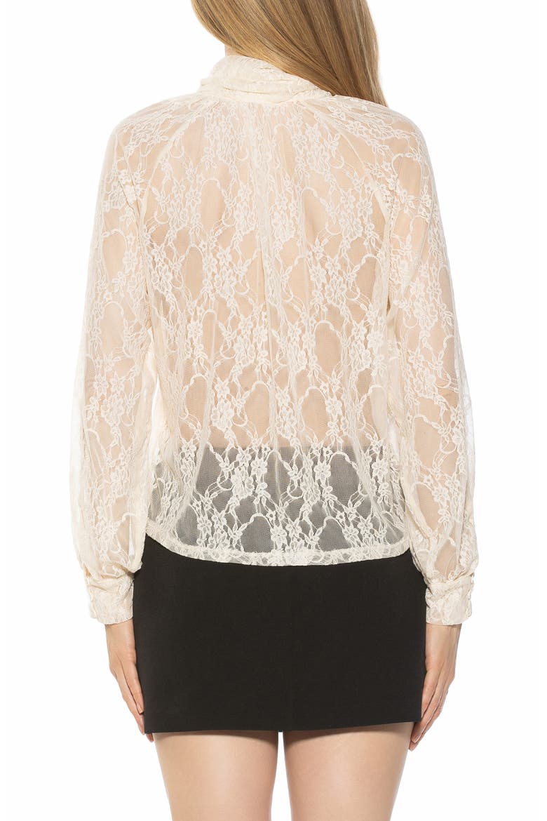 Rae Lace Top with Neck Tie, Alternate, color, CREAM
