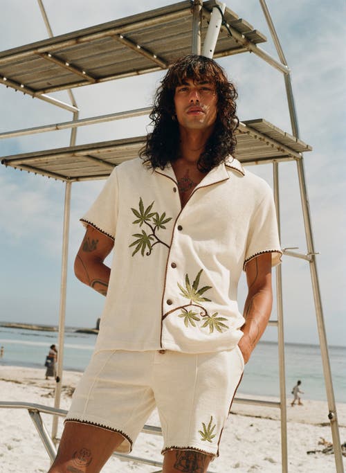 Tombolo 'cabannabis' Cabana Shorts In Ivory