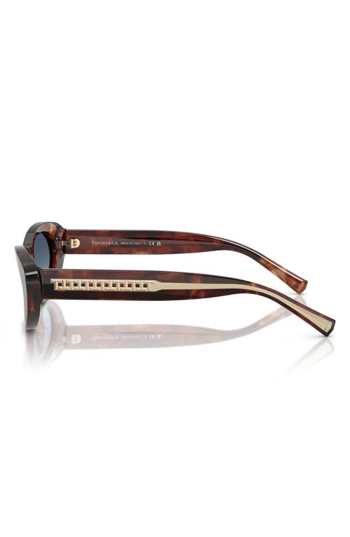 Tiffany & Co . 55mm Oval Sunglasses In Brown