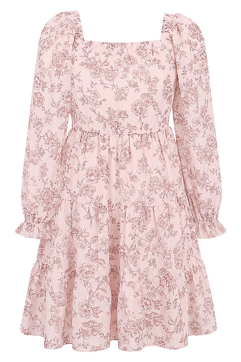 Kids' Floral Print Chiffon Dress, Alternate, color, BLUSH