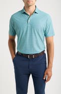 Peter Millar Dirty Martini Summer Comfort Performance Mesh Polo