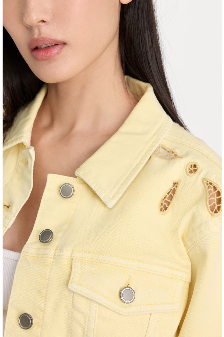 Essential Embroidered Crop Denim Jacket, Alternate, color, ANISE YELLOW