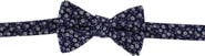 Ascentix Metallic Flowers and Leaves Bowtie