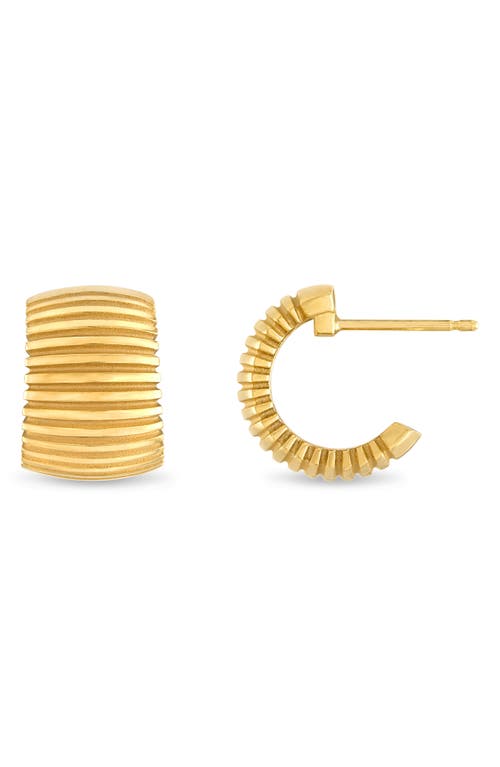 Pamela Zamore Isla Wide Hoop Earrings In Gold