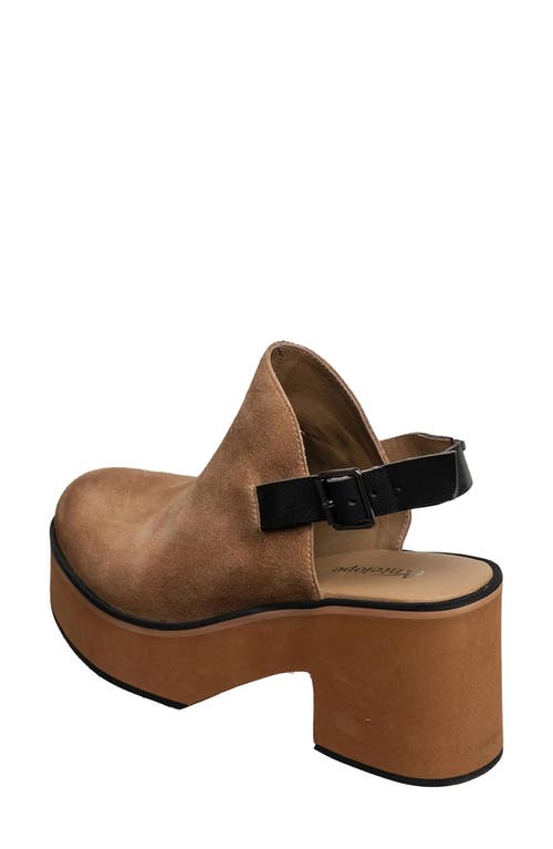 Antelope Isla Platform Slingback Sandal In Brown