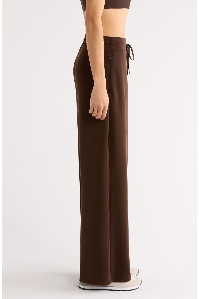 Soft Luxe Wide Leg Pants, Alternate, color, BROWN MOLE'
