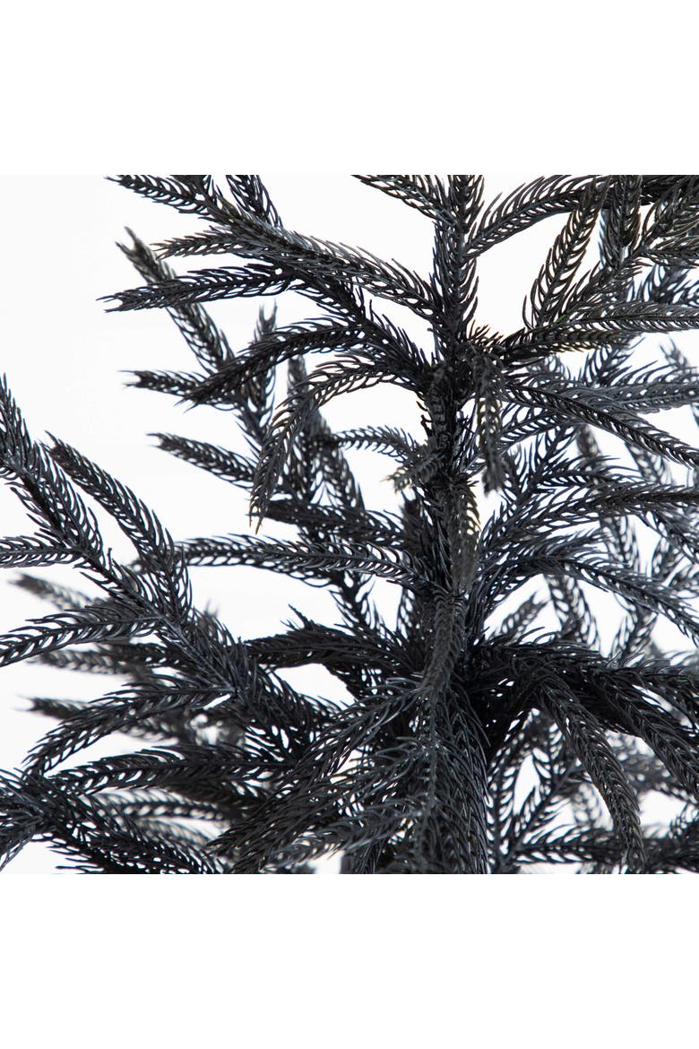 4-ft Artificial Halloween Real Touch Black Norfolk Pine Christmas Tree with Natural Look, Alternate, color, Black