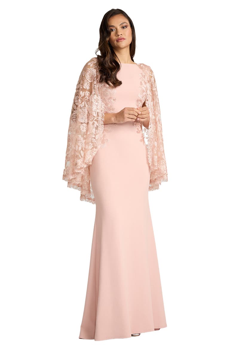 Embroidered Capelet Long Sleeve Gown, Alternate, color, PALE PINK