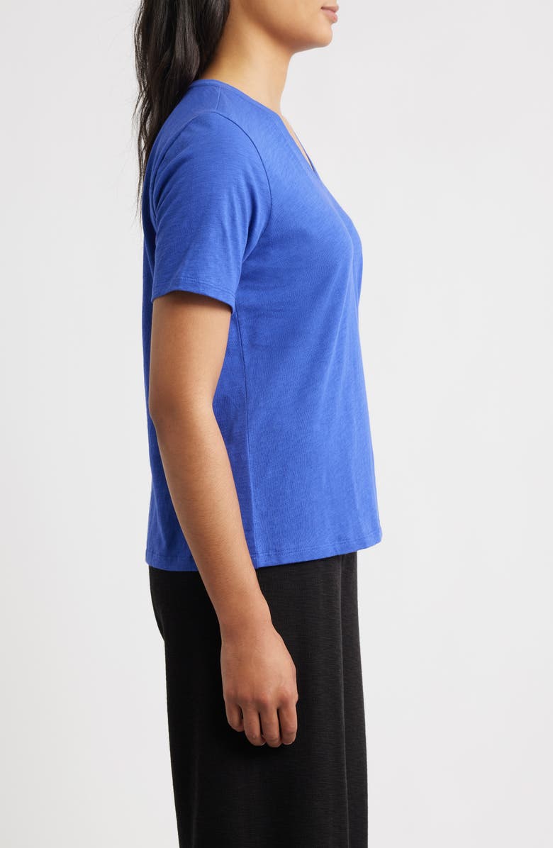 Eileen Fisher Easy V-Neck Organic Cotton T-Shirt, Alternate, color, Royal