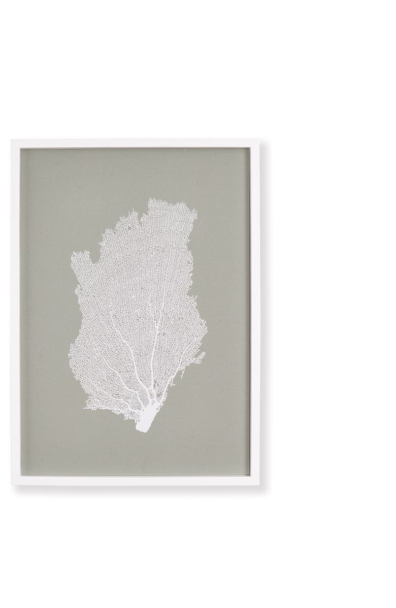 Napa Home & Garden Coral Fans Study Set of 4, Alternate, color, Grey